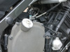 FZ75016