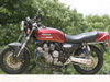 cbx2