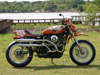 HARLEY DAVIDSON
