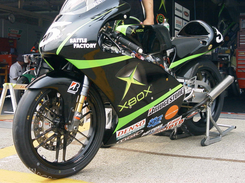 rs1251