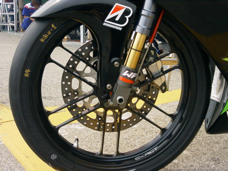 rs1252